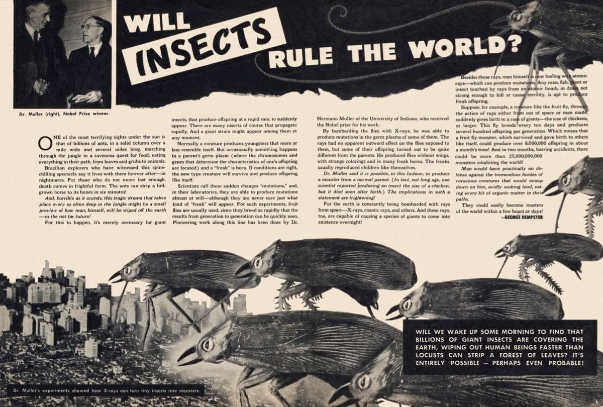Mutant fruit flies created by radiation, would take over Earth within months, says 1950 magazine