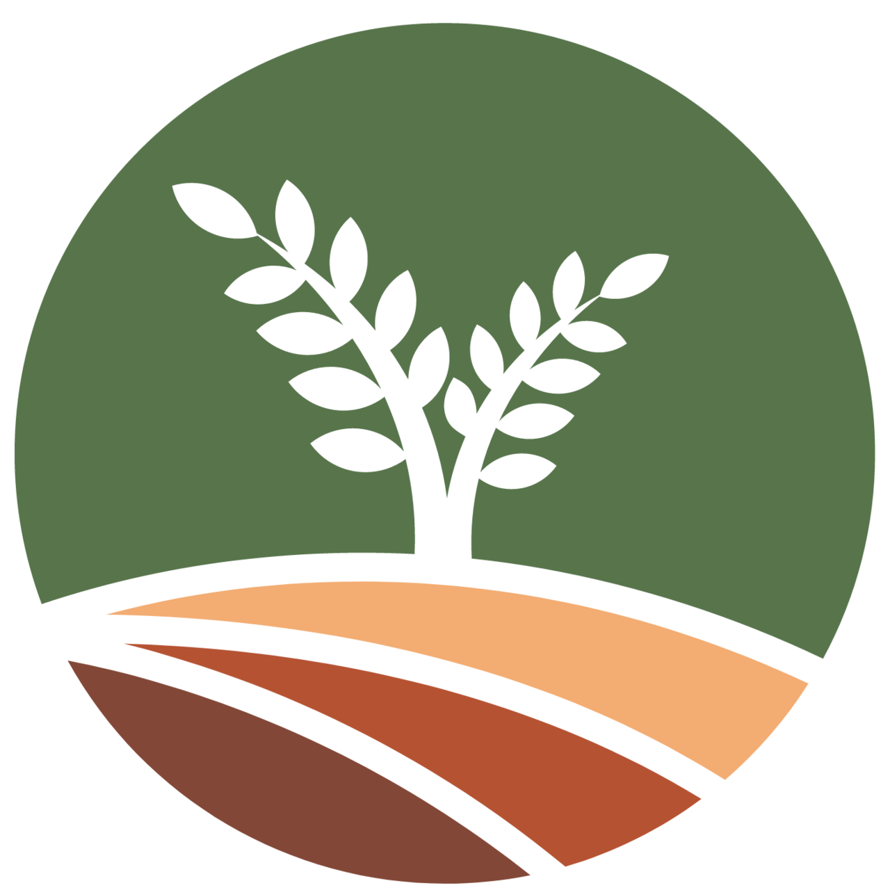 The Mustard Seed by McKay Caston