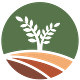 The Mustard Seed by McKay Caston
