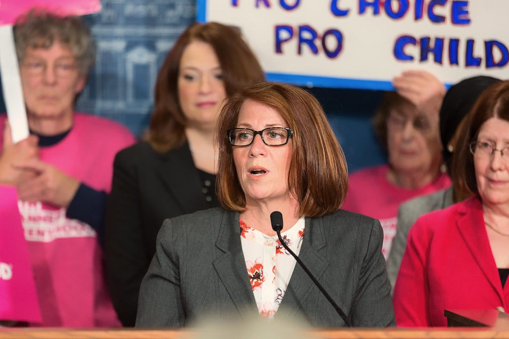 2018 Minnesota DFL Nominations: State Rep. Erin Murphy Endorsed for ...