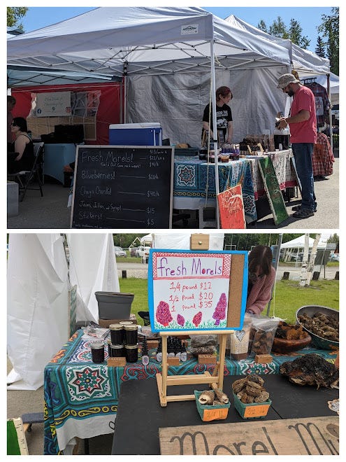 2023 and 2020 morel stands at the Fairbanks farmers market