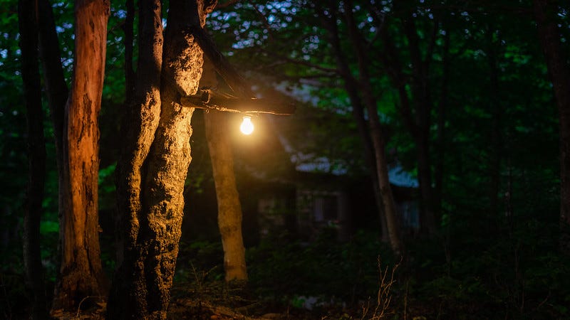 A lightbulb attached to a tree illuminates the foreground while a dimly lit house in the background is barely visible behind the trees. A lightbulb attached to a tree illuminates the foreground while a dimly lit house in the background is barely visible behind the trees.
