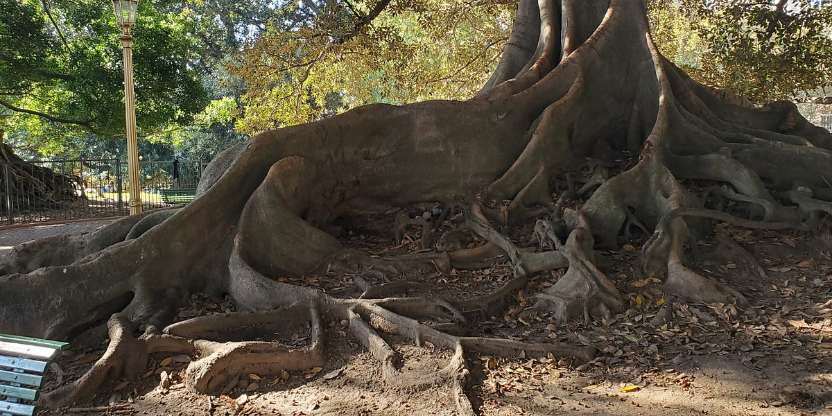 Maui - Plans for A High Tech Prison Island?