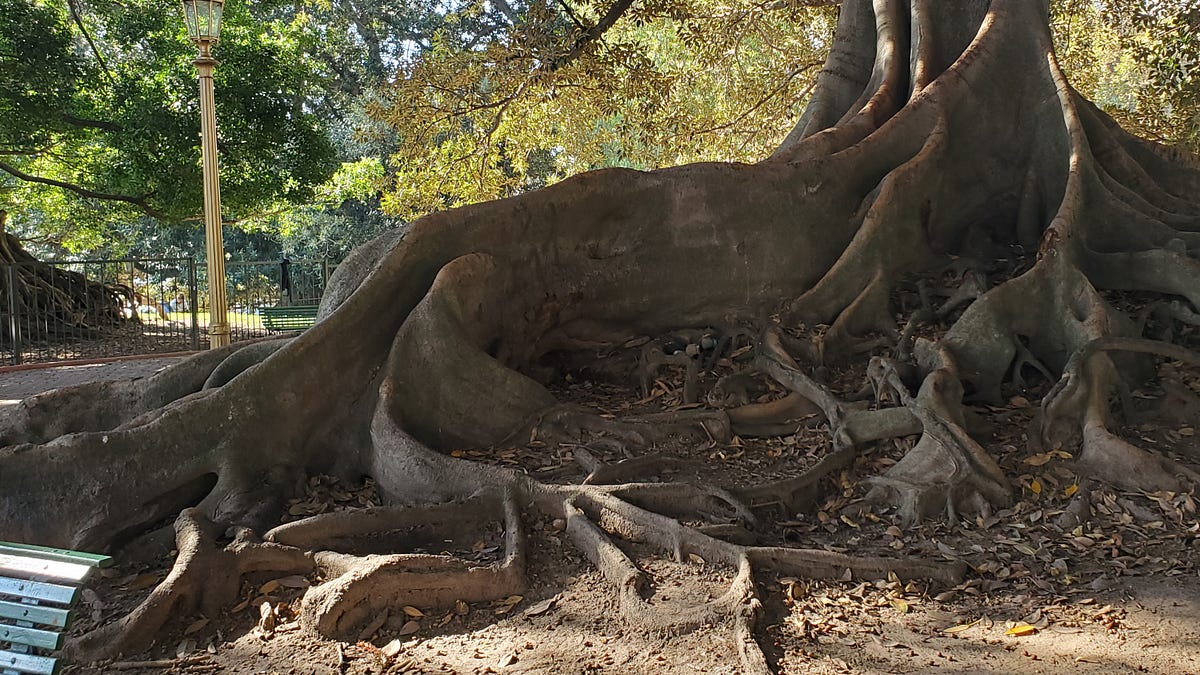 Maui - Plans for A High Tech Prison Island?