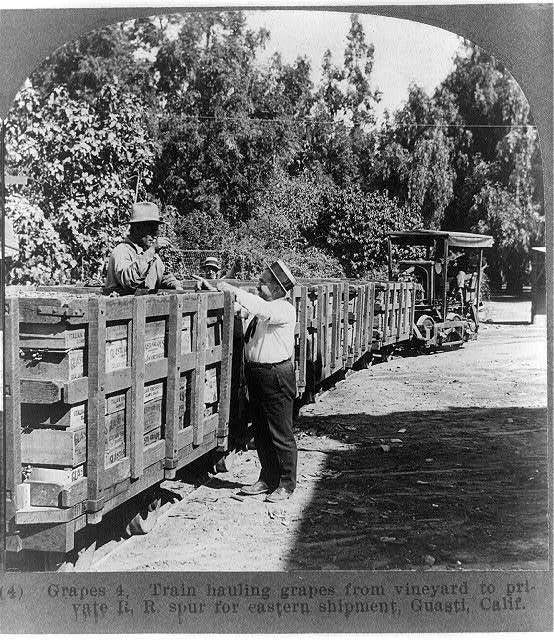 Historical photograph of workers loading crates of grapes onto a train at the Italian Vineyard Company in Guasti, California, for eastern shipment during Prohibition. Historical photograph of workers loading crates of grapes onto a train at the Italian Vineyard Company in Guasti, California, for eastern shipment during Prohibition.