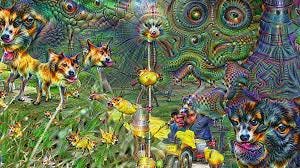 The story of deep neural networks and hallucinogenic images — Google Arts &  Culture