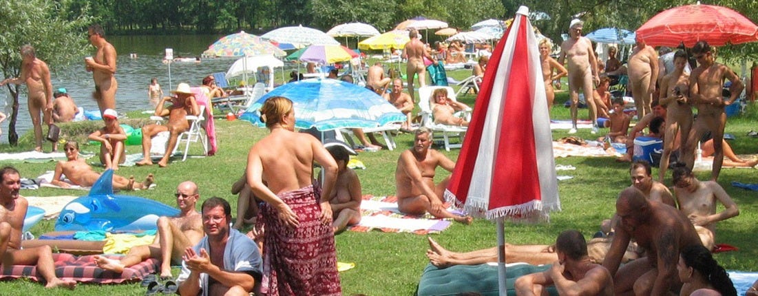 A wide, sunlit lakeside scene at a naturist beach and campsite, where dozens of nude adults relax on grass and towels under colorful umbrellas. People sit, chat, and sunbathe near the water’s edge, with trees lining the background and a calm, social atmosphere throughout. A wide, sunlit lakeside scene at a naturist beach and campsite, where dozens of nude adults relax on grass and towels under colorful umbrellas. People sit, chat, and sunbathe near the water’s edge, with trees lining the background and a calm, social atmosphere throughout.