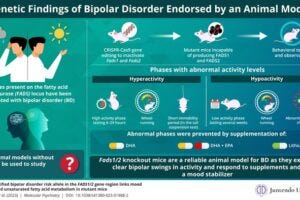 Researchers have created mutant mice that exhibit bipolar swings in activity, mirroring depressive and manic episodes of bipolar disorder in humans.