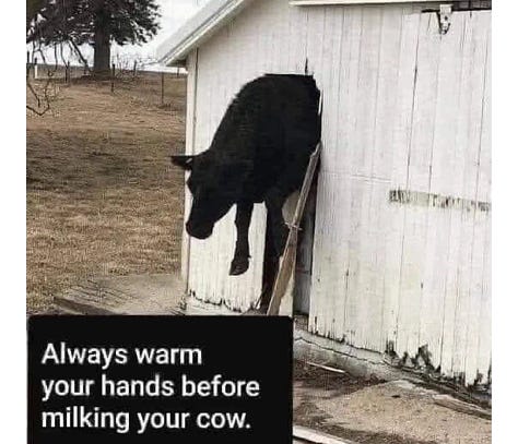 Day Brighteners (or not)