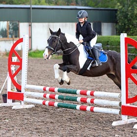 Success for Northern Ireland Riding Clubs show jumpers