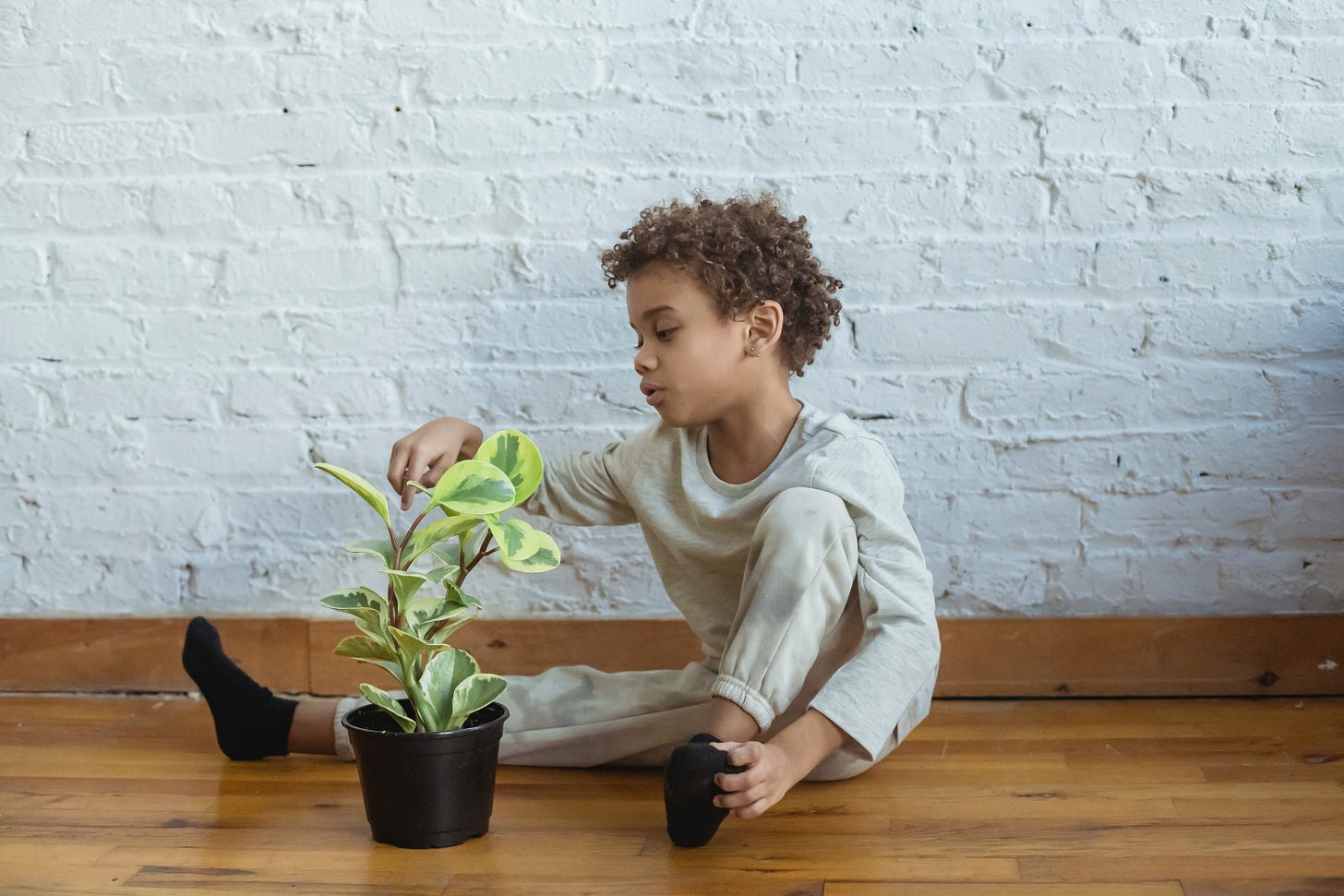 Curly haired child sitting on the floor touching a plant leaf.