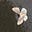 Sometimes Quiet Sometimes Loud's avatar