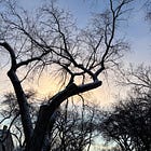 Seasonal Mood Lighting: From Morning Glow to Evening Fade