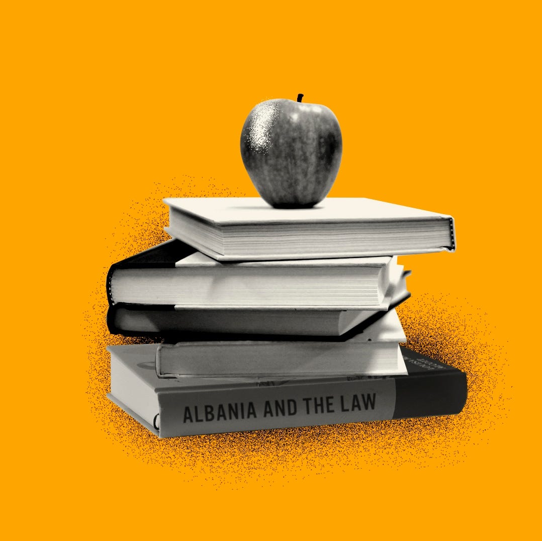 Illustration of school books (by Shannon Loys)