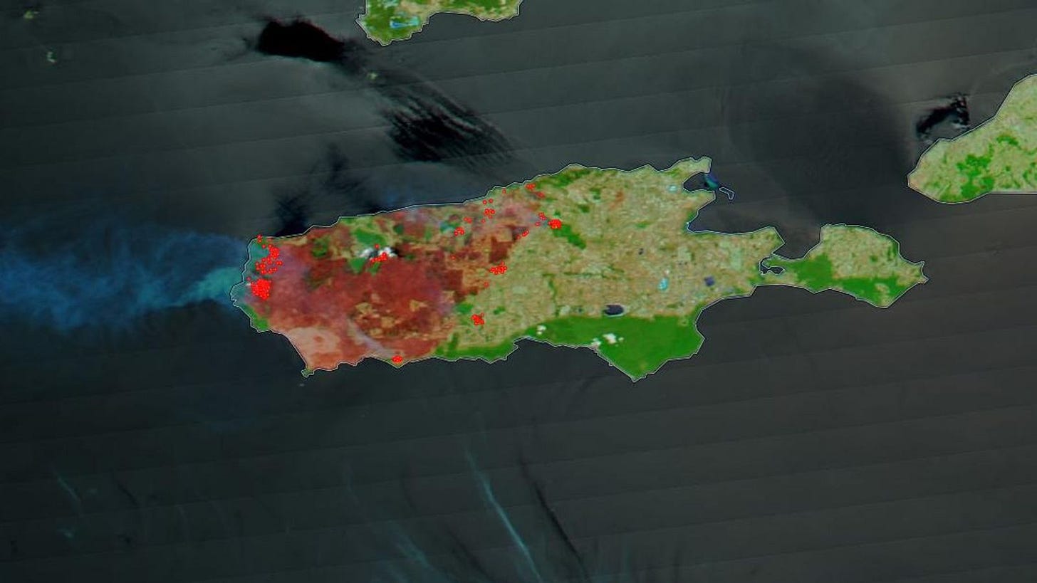 Australian bushfires: NASA images show third of Kangaroo Island burned |  World News | Sky News