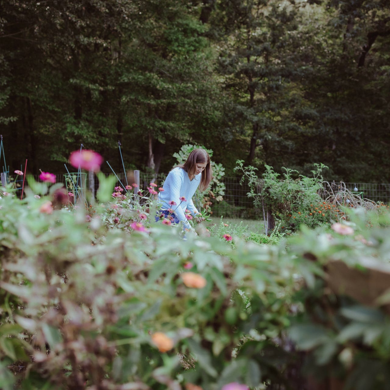 Sheila Quinn Writes Home