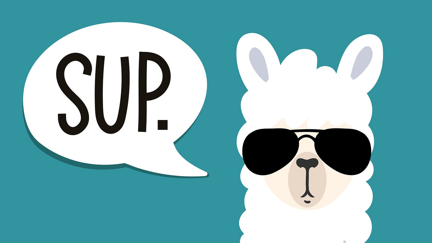 Meta Llama: Everything you need to know about the open generative AI model  | TechCrunch