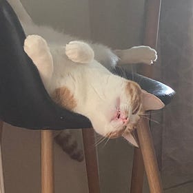 the unspooling continues... pt. 4