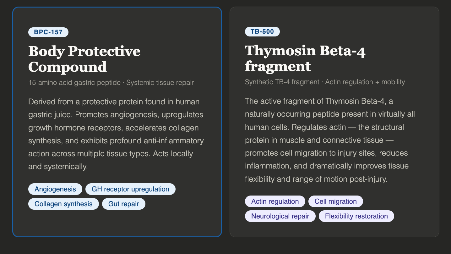 The Ultimate BPC-157 & TB-500 Healing Stack: Mechanism, Protocol ...