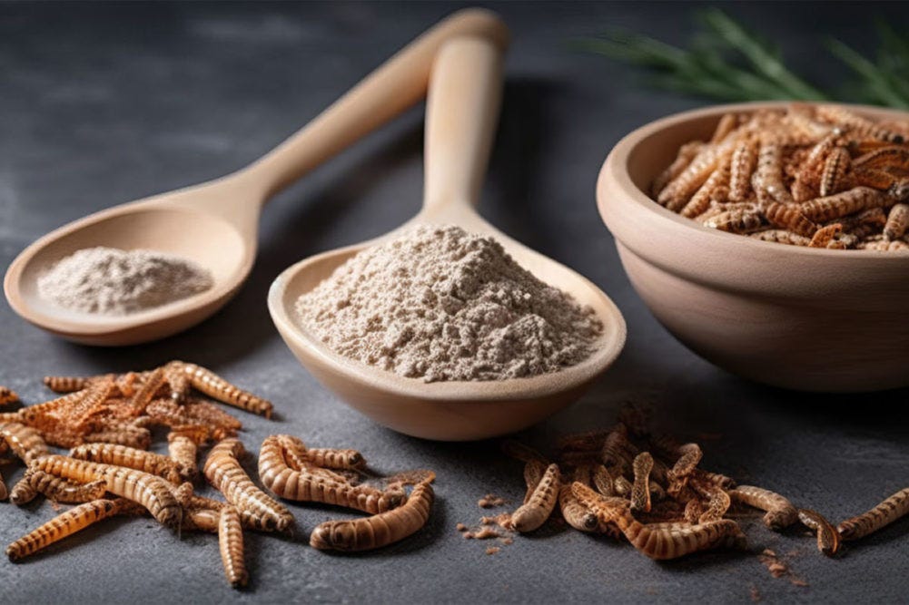 Tyson, Protix to provide sustainable proteins for global food system | Pet  Food Processing