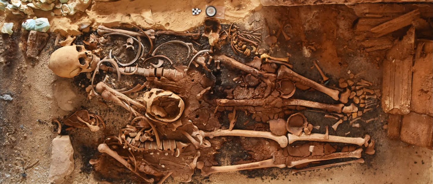 Skeletal remains uncovered during excavation at Marina El Alamein, found alongside pottery vessels and wooden elements from the burial. Photo Ministry of Tourism and Antiquities.
