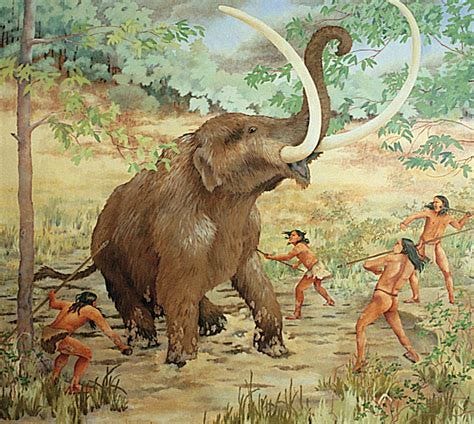 The Land and Native People The Land and Native People