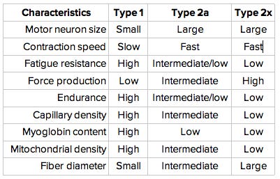 Neuromuscular Physiology — Integrated Health Sciences