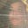 zulaikha (زليخة كارا)'s avatar