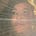 zulaikha (زليخة كارا)'s avatar