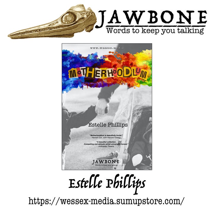 Estelle Phillips Poetry Collection Motherhoodlum