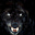 David Adams's avatar