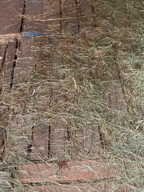 pallets on ground protecting hay pallets on ground protecting hay