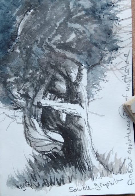 Drawings, watercolours, photos and written notes.