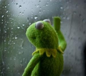 sad kermit at window Blank Template - Imgflip