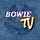 X avatar for @BowieTVSports