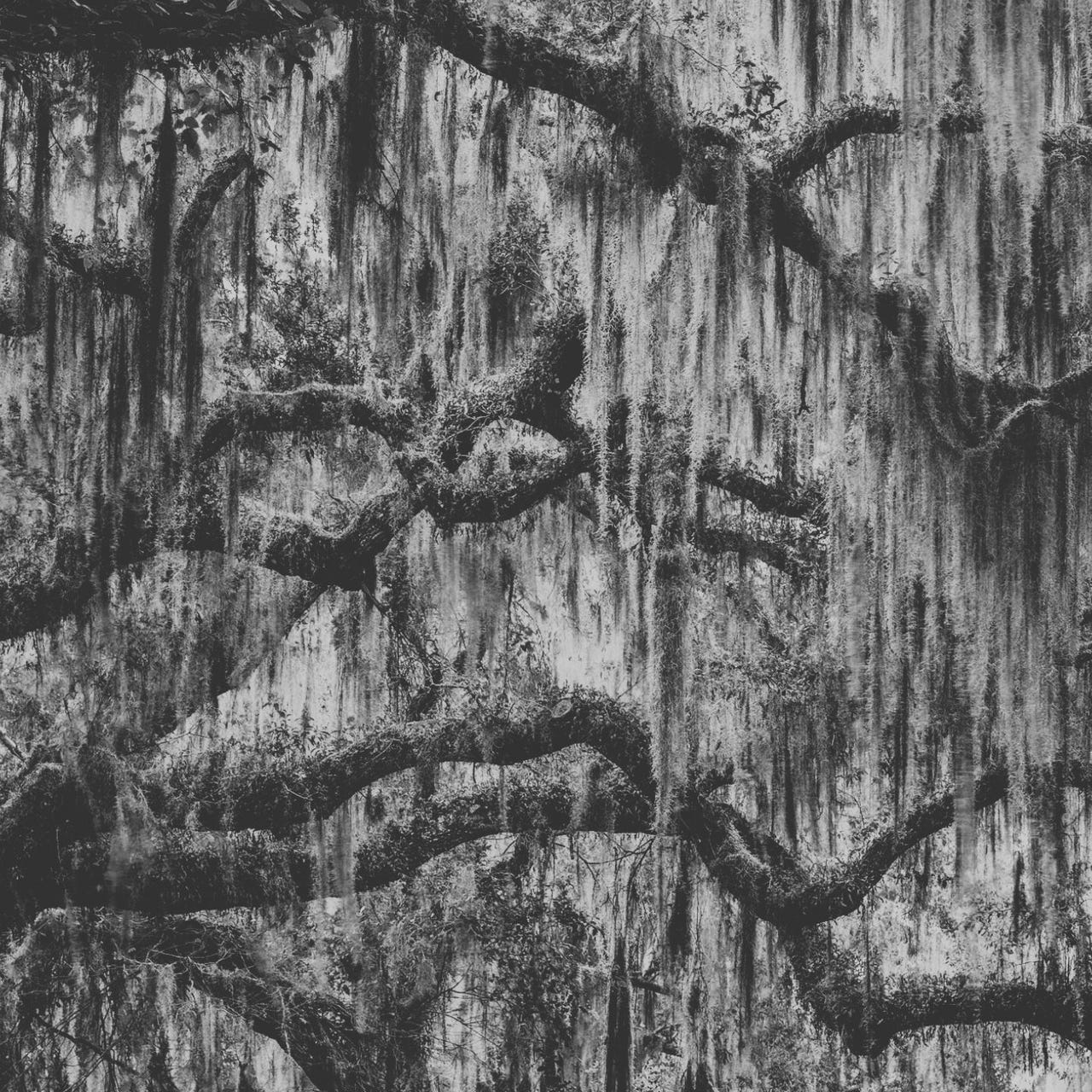 The Practical Art of Belonging 