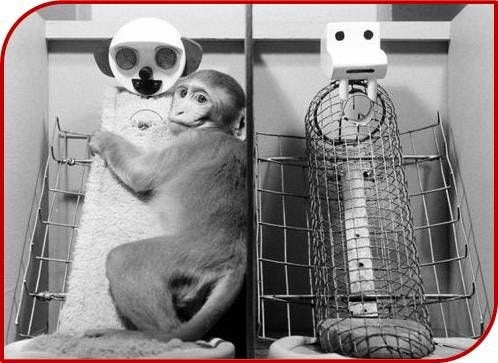 Harry harlow experiment shows that attachment and the need for ...