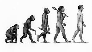 1 'Evolution of Man'. Illustrations ...