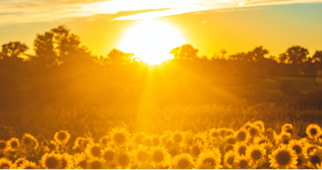 Sunlight: Frequencies & Light Codes - state_shift