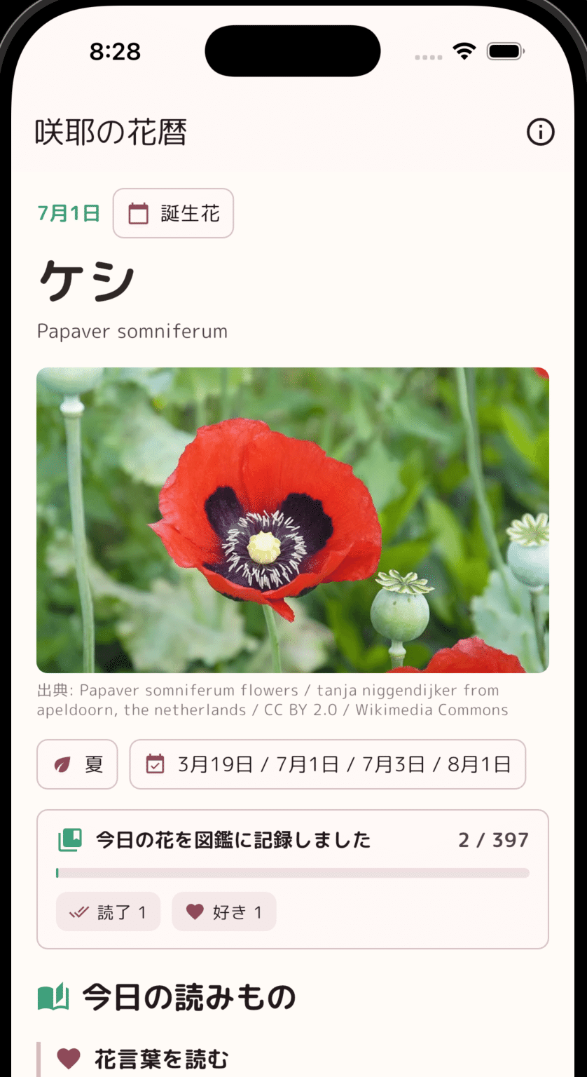画像 画像