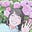 YUUKO's avatar