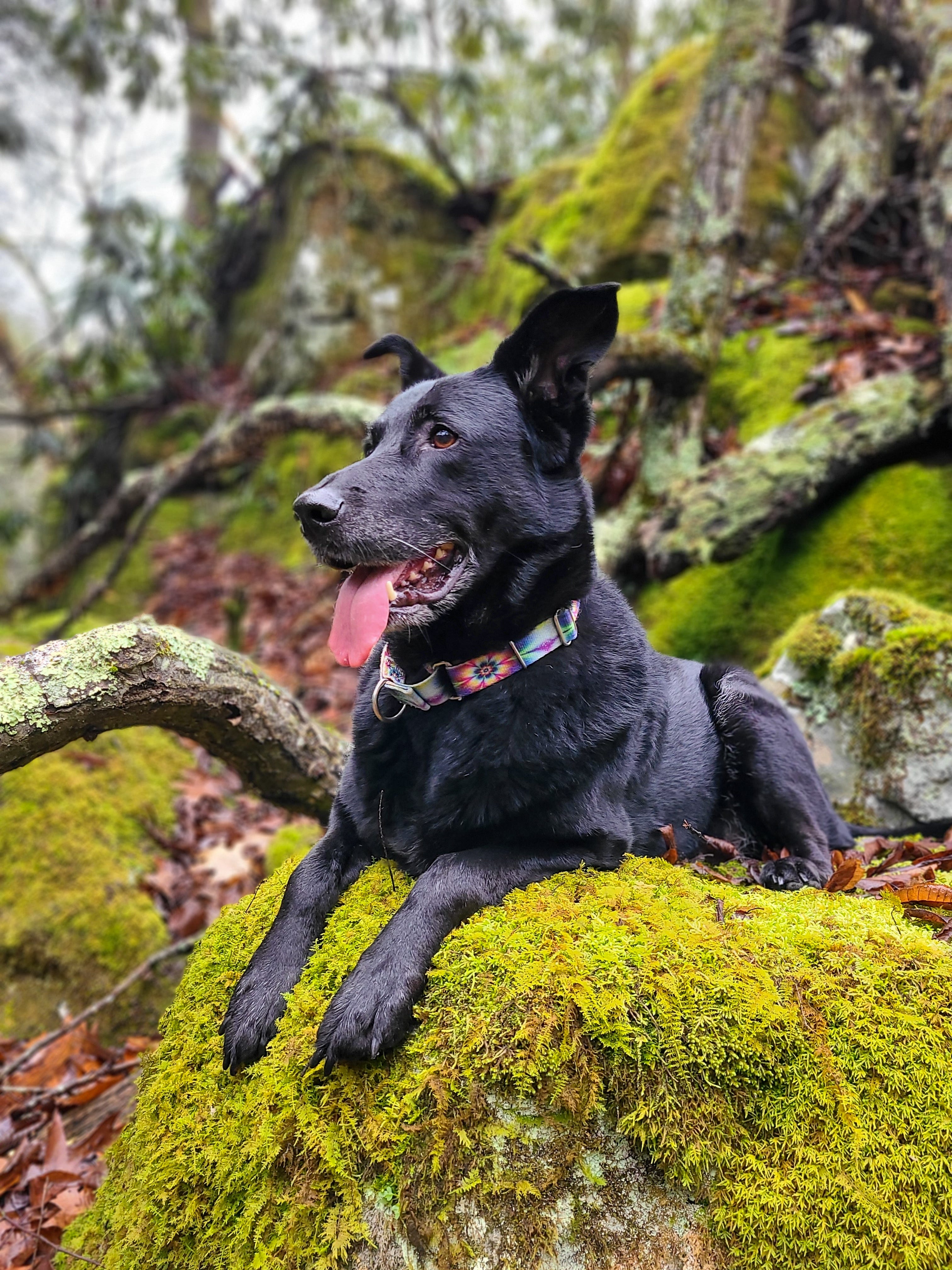 Coal CEOs are the new crypto bros - by Emily Atkin - HEATED