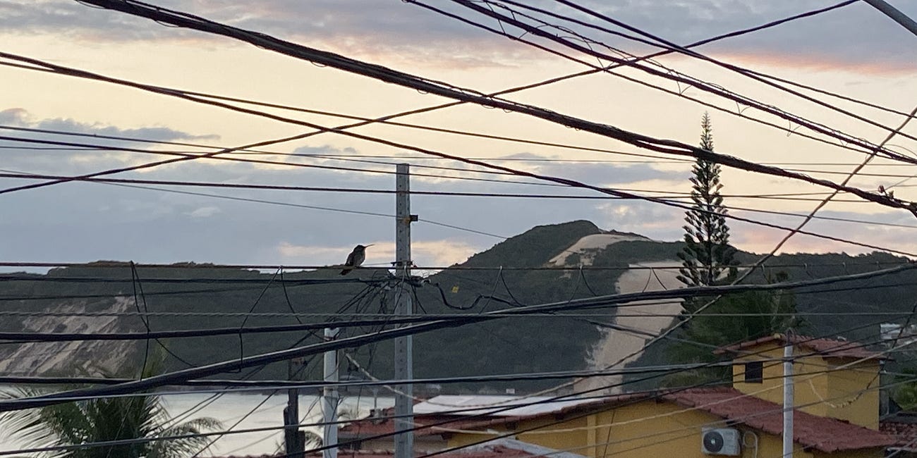 Tudo é um sinal : memórias de Natal