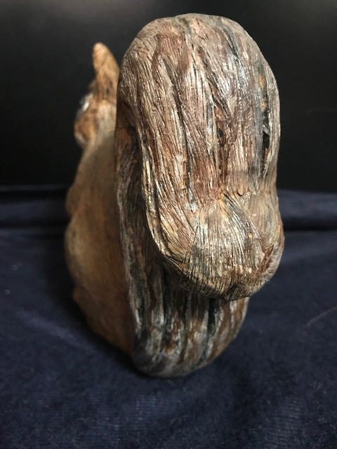 squirrel - janet wolfinger