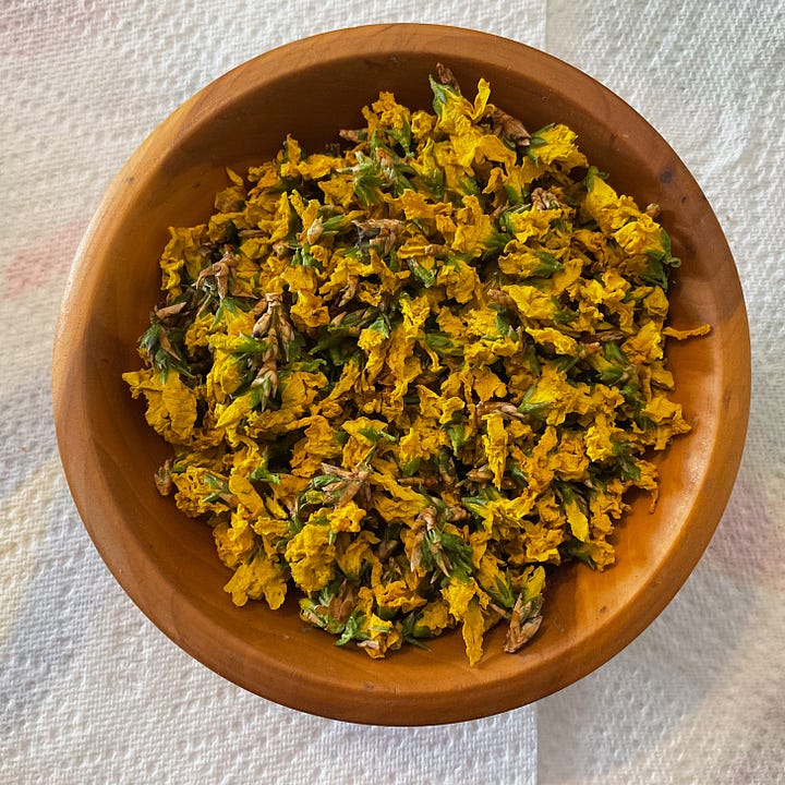 Bowl of dry yellow flowers with closeup showing green bases