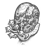 flailsnail