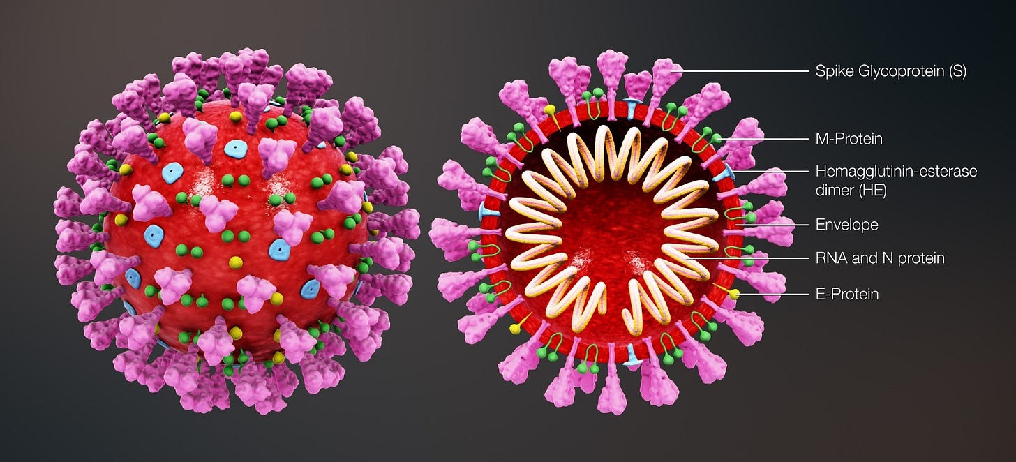 SARS-CoV-2 (2019-nCoV) Proteins | BioVendor