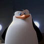 Skipper's avatar