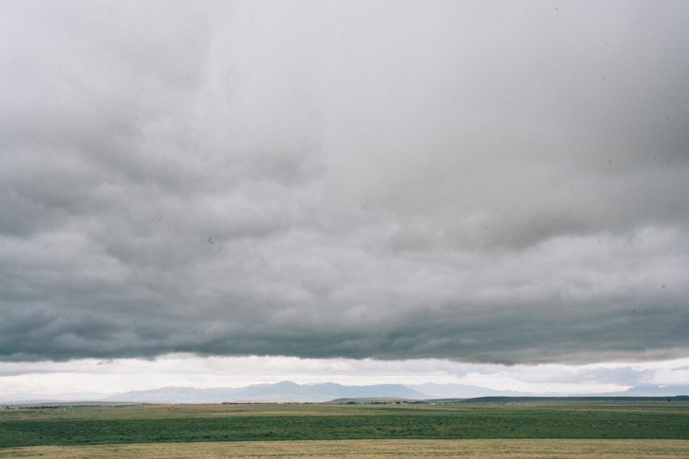 mad agriculture cavagnero 033