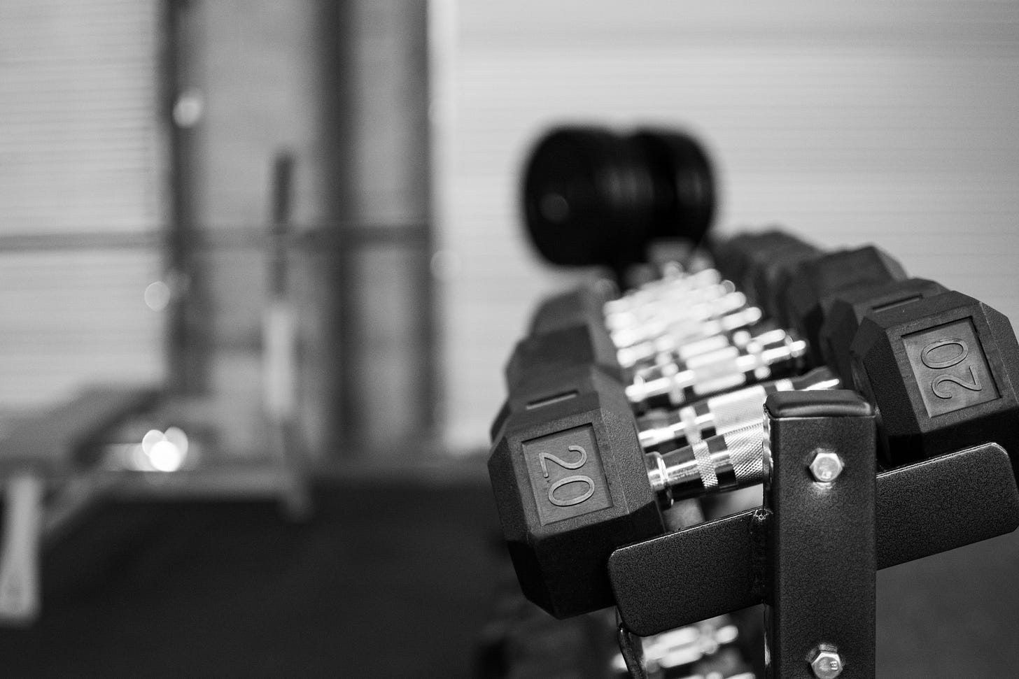 A row of 20 lb dumbbells on a rack.